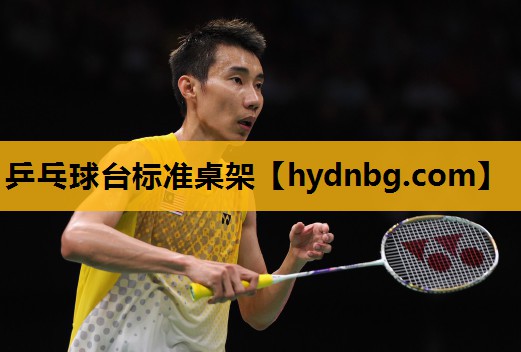 乒乓球台标准桌架 乒乓球台标准桌架