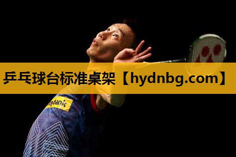 乒乓球台标准桌架 乒乓球台标准桌架